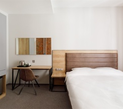 Стандартный номер с двуспальной кроватью в Turris Hotel Petrovsky