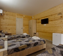 Стандарт 3х местный в Белая Деревня