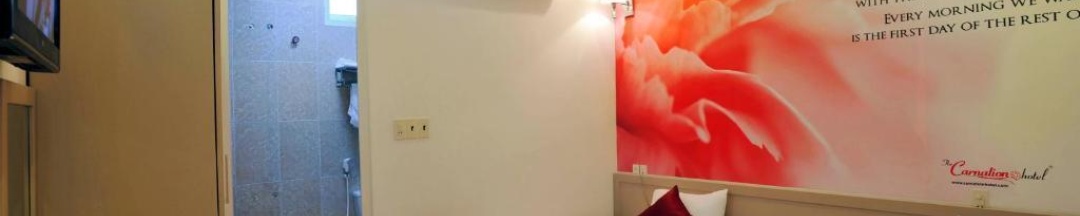 Двухместный номер Standard 2 отдельные кровати в The Carnation Hotel Da Nang