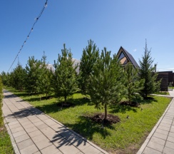 A-Frame №3 (оснащение дома, стоимость банного чана и бани см. Подробнее) в Dacha