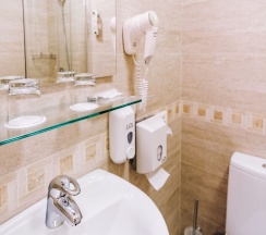 Двухместный номер Standard 2 отдельные кровати в Невский Гранд Энерджи