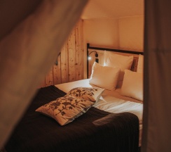 NEW! PROMO в Лес