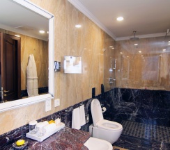 Двухместный люкс Orion двуспальная кровать в Отель Orion Bishkek
