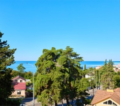 ТВИН без балкона в Диса