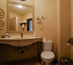 Standard Premium Business (Double) в Spatium wellness center