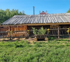 ИЗБЫ в Философия отдыха