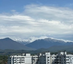Однокомнатный делюкс (95) в Frukty Rent