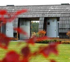 2-местный номер стандарт (корпус FOX-INN) в Лисья нора