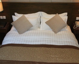 Двухместный номер Standard с красивым видом из окна двуспальная кровать в SoLuxe Hotel Almaty