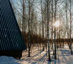 Коттедж с красивым видом из окна в Лес и Небо