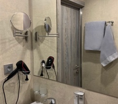 Первая категория / Стандарт улучшенный  1но местный в Ботаника лофт