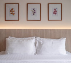 Номер Standard с балконом в Отель Orchidacea Resort