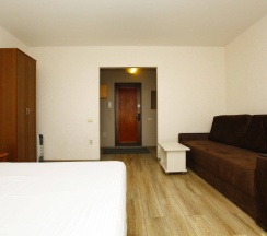 1-комнатные апартаменты стандарт с 1 двуспальной кроватью в Альт отель апартаменты