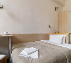 Одноместный в Александр Hotel