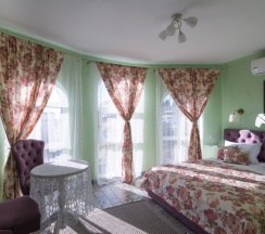 Стандартный без балкона в Серый гусь