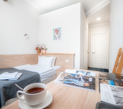 Одноместный в Александр Hotel