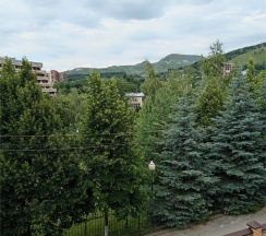 "КОМФОРТ" 1-но комнатный без балкона в Мечта