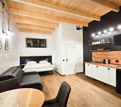 Апартаменты Лофт в Alpika house