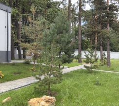 Дом в Провинция