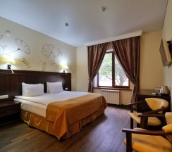 Двухместный номер Standard двуспальная кровать в Grand shale