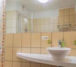 Апартаменты Comfort в Vila Viola