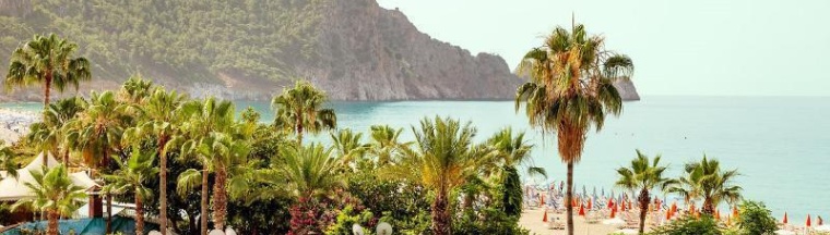 Одноместный номер Standard двуспальная кровать в Sunprime Alanya Beach Hotel
