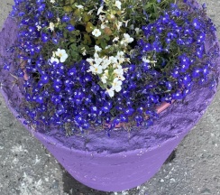 Полулюкс в S-Hostel