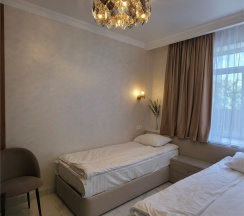 Улучшенный номер с двумя односпальными или двуспальной кроватью в Владимирский