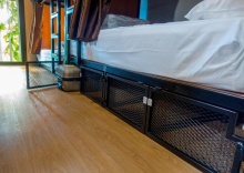 Кровать в общем номере в Comfy Bed Hostel - Adults Only