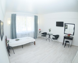 1-местный номер стандарт в Deltafly hotel