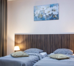 Трёхместный номер Superior с балконом в Добрый лось