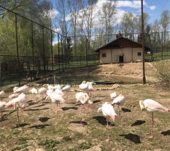 Барнхаус "СОВА" в Барнхаус Сова