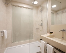 Стандартный номер с раздельными кроватями в Crown Hotel St. Petersburg 