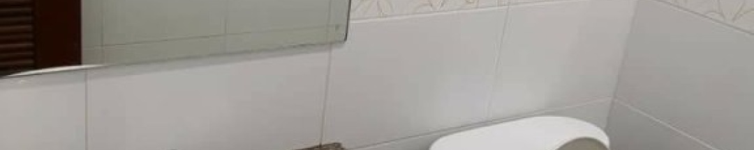 Двухместный номер Standard 2 отдельные кровати в Palm Hill Resort