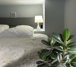 1321 КЕЙПТАУН / МОСКВА Ботанический сад / Апарт-отель S12 ТУРИСТ в S12