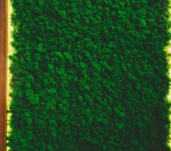 Коттедж стандарт в Keti Gesh