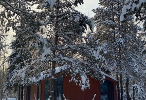 Апартаменты Lato в соснах в Владимирской области