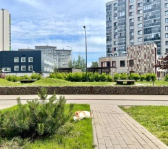 Студия Комфорт  (метро Московская/Звёздная) недалеко Аэропорт в Rauktis apartments