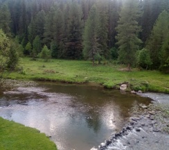 Стандартный четырехместный номер в У горной речки