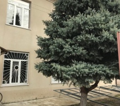 Четырёхместный номер Economy в Рудня