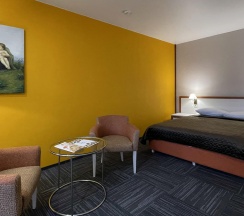 Номер полулюкс улучшенный с 1 двуспальной кроватью в Кремниевы термы