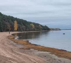 Коттедж стандарт в Олта