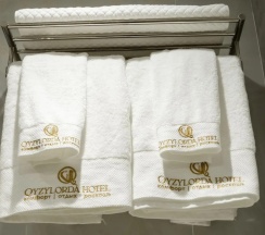 Двухместный полулюкс (2 отдельные кровати) в Qyzylorda hotel