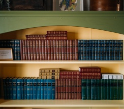 Трехместный Стандарт в Крыжовник