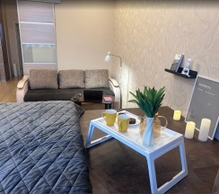 2-комнатные апартаменты улучшенные в Академ апарт