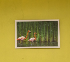 Номер Deluxe в Flamingo
