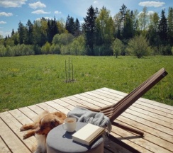 Коттедж Бисквит в Родионова дача