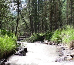 Коттедж с красивым видом из окна в Glamping_07