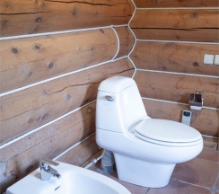 Коттедж Зимняя Сказка в Медвежья гора в Усть-Коксе