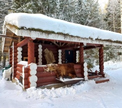 Баня в GreenCamping